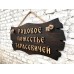 Адресная табличка, массив сосны